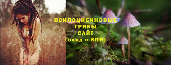 мет Дмитров
