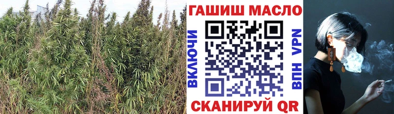 ТГК Wax  Купить  Назарово 